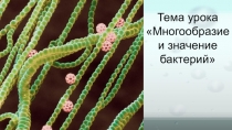 Презентация по биологии на тему Многообразие и значение бактерий (7 класс)