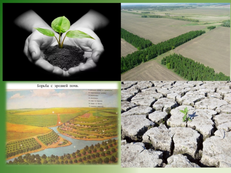 Охрана вод и почв. Борьба с эрозией почв. Защита почв от эрозии. Способы борьбы с эрозией почв. Защита почвы от водной эрозии.