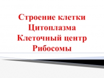 Презентация по биологии на тему Клетка
