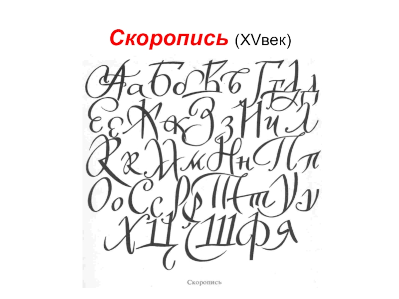 Скоропись. Скоропись (шрифт). Скоропись шрифт алфавит. Шрифт изо. Скоропись шрифт русский.