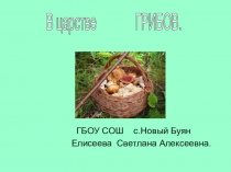 Презентация по окружающему миру 3 класс В царстве грибов