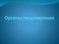 Органы пищеварения.