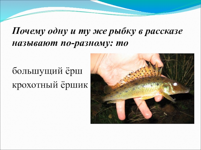 Текст 1 рыбка. Рассказ первая рыбка. Рассказ пермяка первая рыбка. Рассказ е пермяка первая рыбка. Иллюстрации к рассказу пермяка первая рыбка.