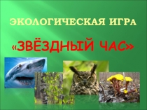 Презентация Экологическая игра Звёздный час