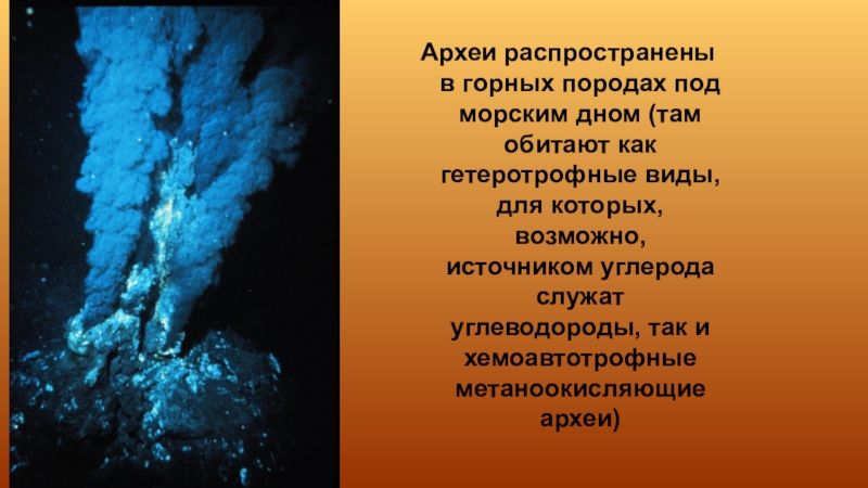 Метаногенные археи поставщики органических соединений в древней биосфере презентация