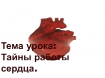 Презентация по биологии на темуСтроение и работа сердца (8 класс)