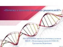 Презентация проекта Почему я похожа на своих родителей?