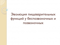 Презентация по биологии на тему  Эволюция пищеварительной системы
