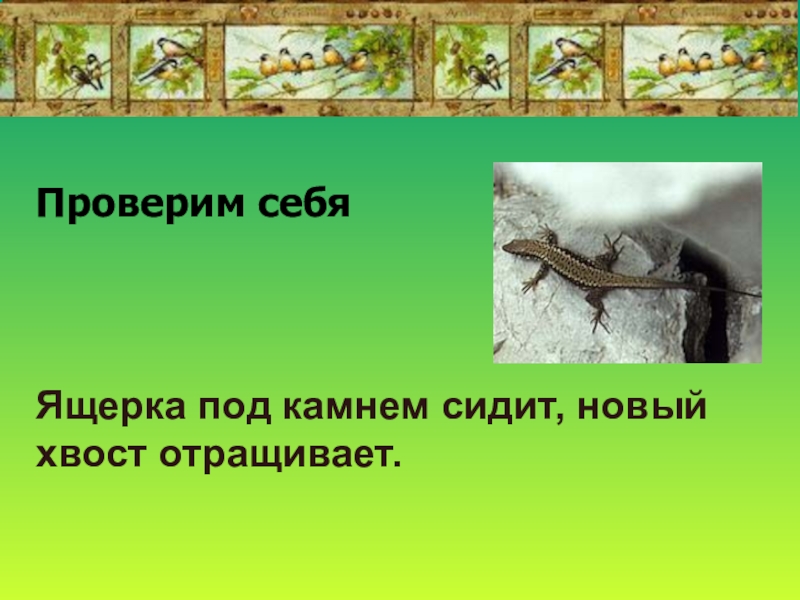 Презентация в бианки первая охота 1 класс школа россии презентация