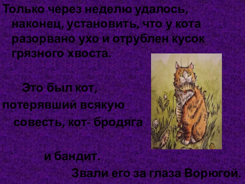 Кот ворюга презентация 3 класс. Рассказ про кота. Рассказ Паустовского кот. Кот ворюга. Небольшой план о коте ворюги.