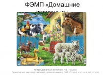 Презентация ННОД по ФЭМП в средней группе по теме Домашние животные