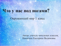 Презентация по окружающему миру на тему Что у нас под ногами (1 класс)