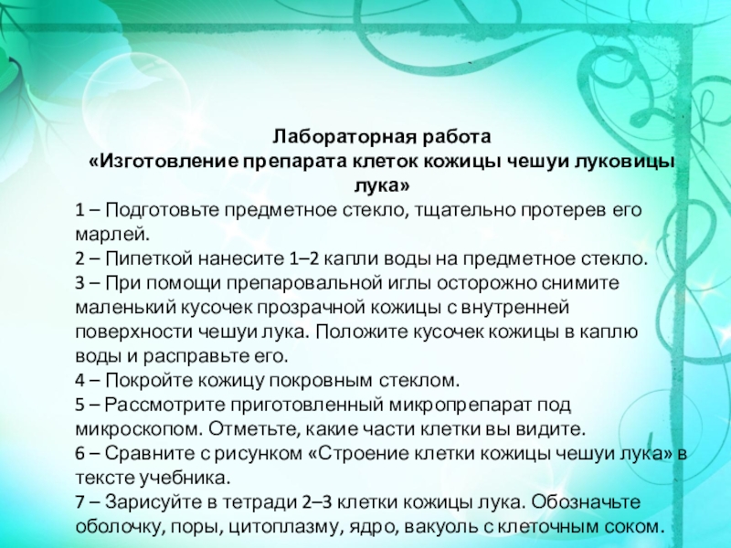 Описание лабораторной работы. Лабораторная работа изучение клеток кожицы чешуи лука. Лабораторная работа строение клетки. Лабораторная работа по биологии про лук. Лабораторная работа с луком.