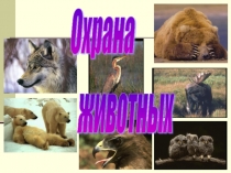 Презентация по окружающему мируОхрана животных.