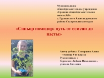 Презентация Синьор помидор: путь от семени до пасты