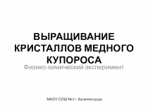 Презентация к исследовательской работе Выращивание кристаллов