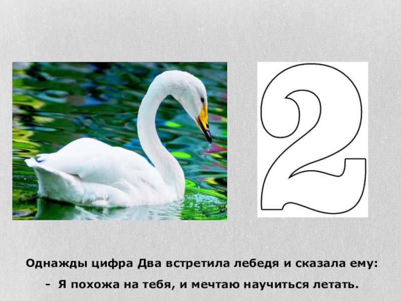 Шар - цифра 3 красный. Цифры яркие. Однажды цифра 3. Шар фольгированный цифра 3. Фон номер пять.