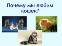 Презентация по окружающему миру на тему Наши проекты (1 класс)