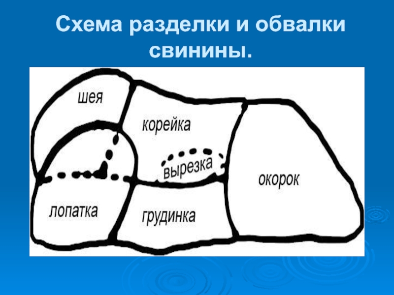 При обвалке свинины получают. Обвалка свинины схема. Схема обвалки свиной. Шея свиная схема. Корейка лопатка схема.