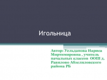 Презентация по технологии на тему Игольница 1 класс