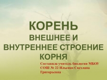 Презентация по биологии для 6 класса по теме: Корень