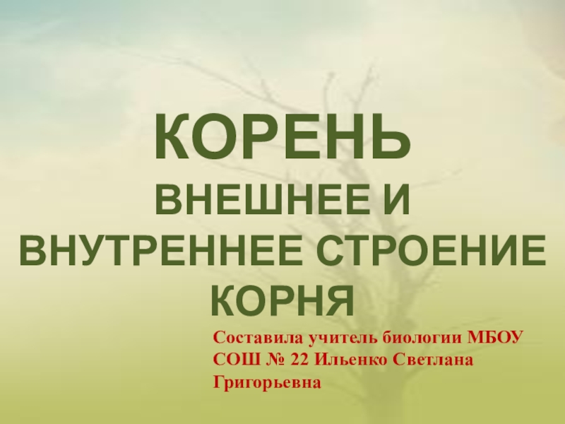 Строй корень