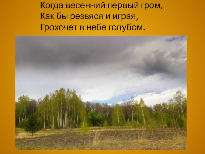 Тютчев весенняя гроза презентация 3 класс перспектива