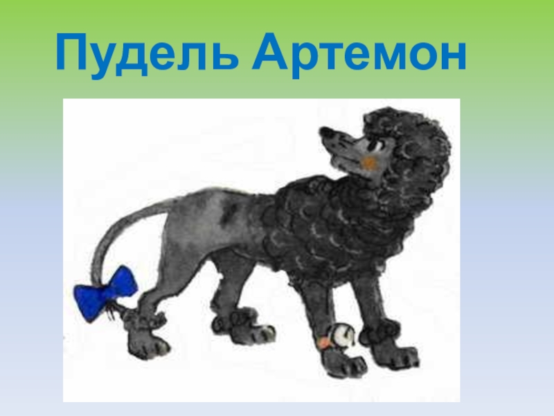 Пудель из буратино. Пудель Артемон. Пудель Артемон из Буратино. Пьеро и Артемон. Пудель Артемон персонаж.