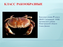 Презентация по биологии Ракообразные