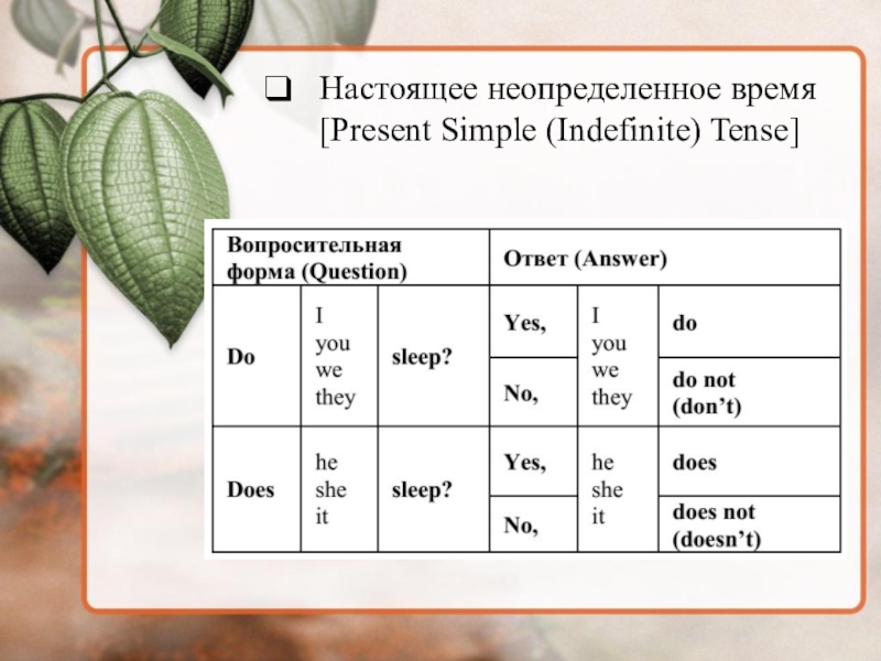 Настоящее неопределенное время правила