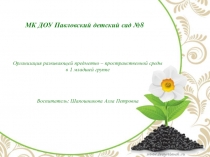 Презентация РППС в 1младшей группе