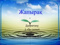 Дүниетану 2-сынып слайд Жапырақ