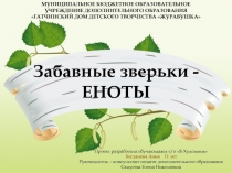 Презентация - Творческий проект Забавные зверьки – ЕНОТЫ