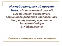 Исследовательский проект Каким способом целесообразнее выращивать комнатное горшечное растение герань в условиях Западной Сибири (в г. Нефтеюганске), приравниваемого к районам Крайнего севера.Исследовательский проект
