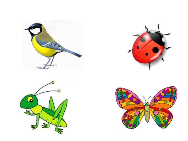Про насекомых для детей 4 5. Насекомые для дошкольников. 4 Лишний насекомые. 4 Лишний насекомые для дошкольников. Найди лишнее насекомые.