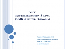 Конспект урока окружающего мира по темеСезонные изменения. Зима(1 класс) с презентацией
