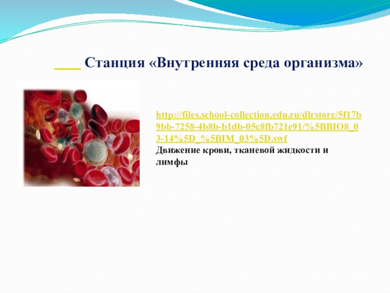 Станция «Внутренняя среда организма»http://files.school-collection.edu.ru/dlrstore/5f17b9bb-7258-4b8b-b1db-05c8fb721e91/%5BBIO8_03-14%5D_%5BIM_03%5D.swf Движение крови, тканевой жидкости и лимфы