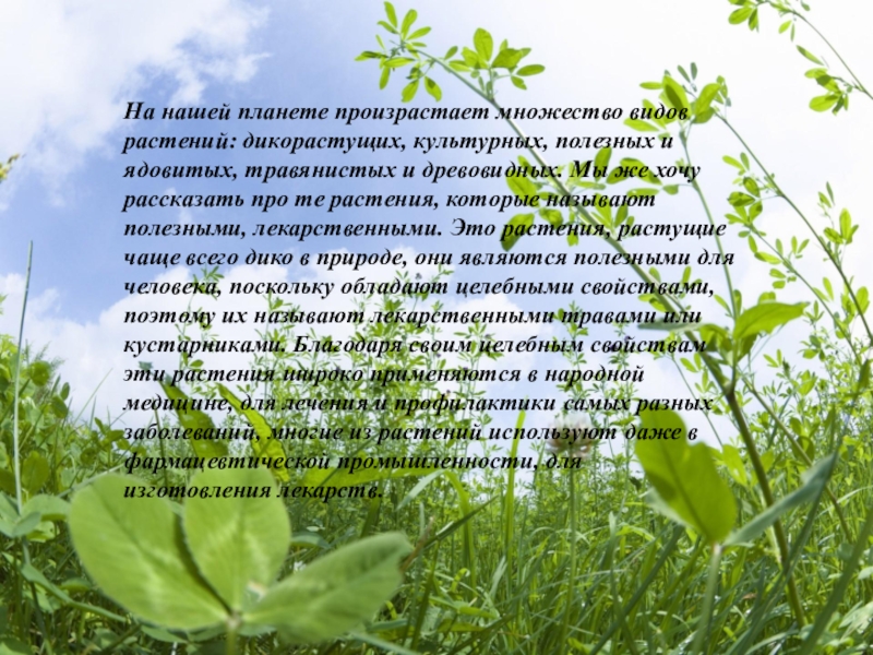 Какое значение для живого. Значение питания. Значение питания для живого организма. Значение питания для человека. Питание значение питания.