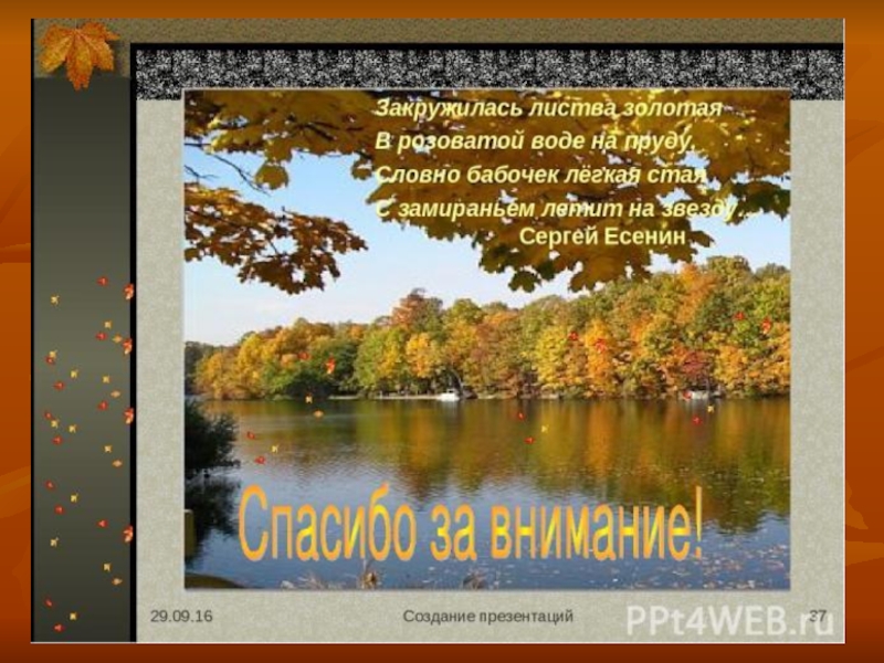 Есенин закружилась листва золотая. Закружилась листва Золотая в розоватой воде на пруду словно. Закружилась листва Золотая в розоватой воде. Сергей Есенин закружилась листва Золотая. Сергей Есенин — закружилась листва.