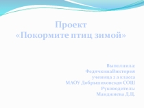 Проект Покормите птиц зимой