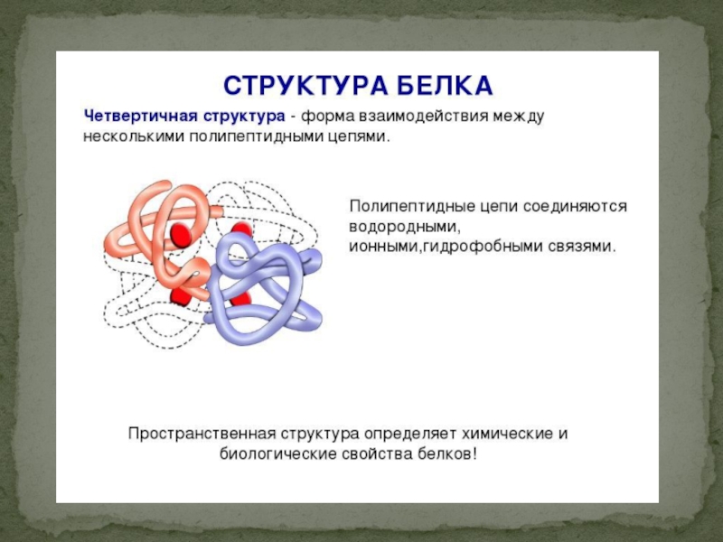 Проект по химии на тему белки