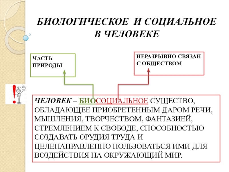 План по обществознанию человек биосоциальное существо