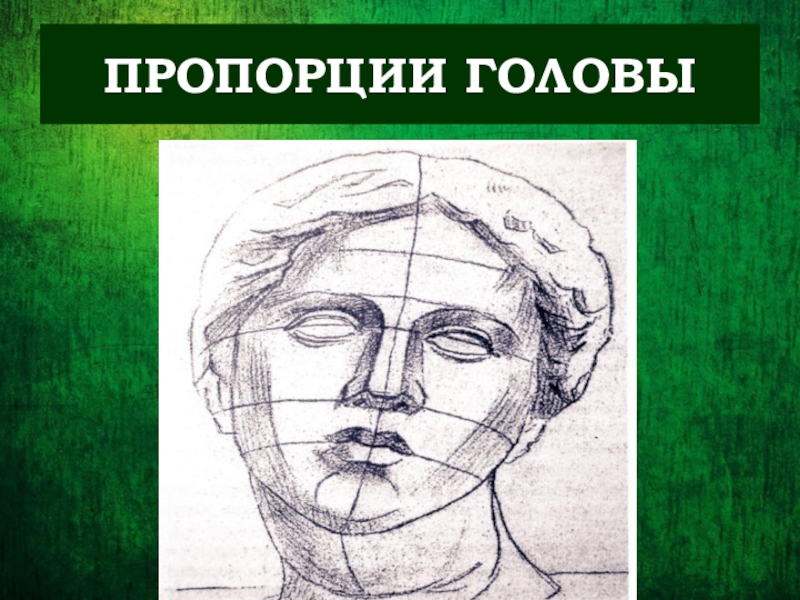 Изображение головы человека в пространстве презентация изо 6 класс