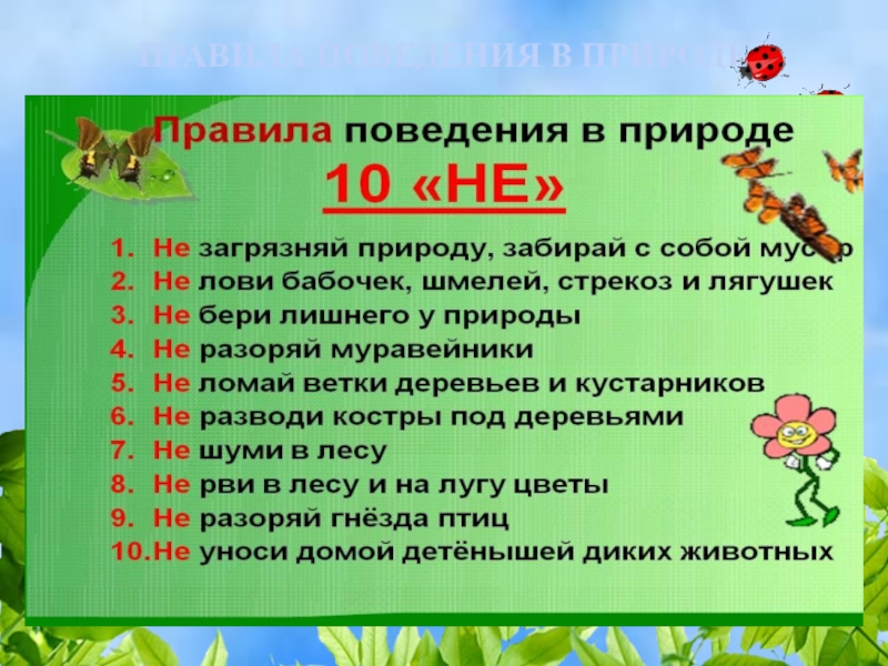 План охрана природы