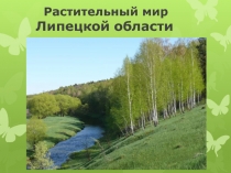 Презентация по окружающему миру Растительный мир Липецкой области