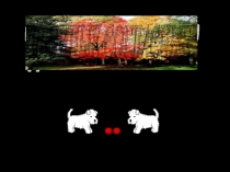 Презентация по русскому языку на тему Двойные согласные (3 класс )