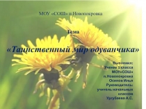 Презентация к исследовательской работе Таинственный мир одуванчика.