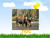 Презентация по русскому языку 2 класс ИзложениеЛось