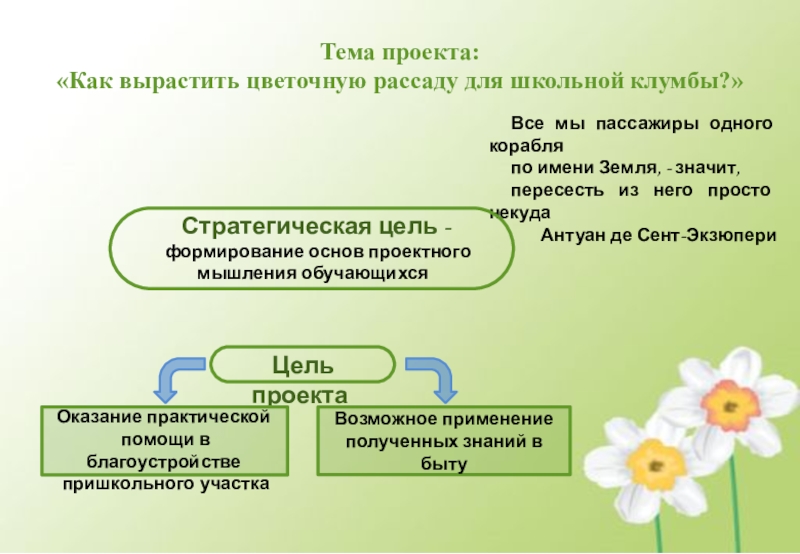 Проект выращивание цветов