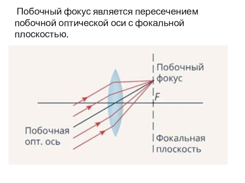 Виды оптических осей. Фокальная плоскость и побочные оптические оси. Побочный фокус линзы это. Фокальная плоскость линзы это. Дополнительная оптическая ось.